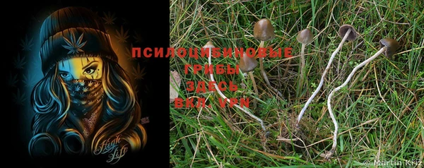 дурь Богородицк