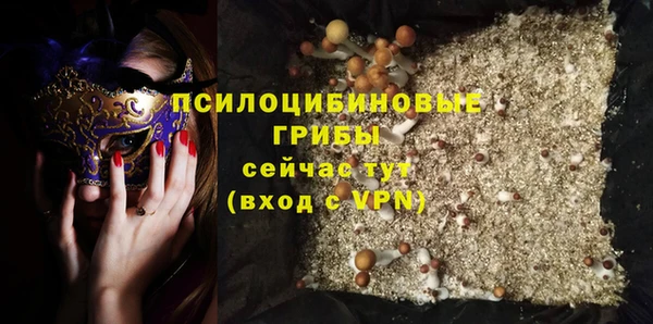 дурь Богородицк