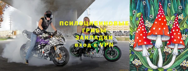 хмурый Богородск