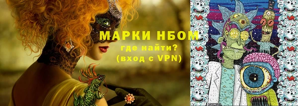 хмурый Богородск