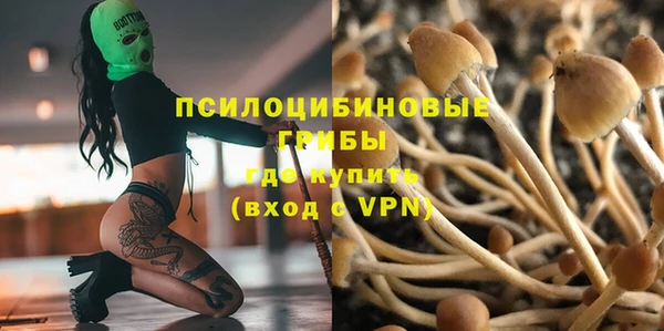хмурый Богородск
