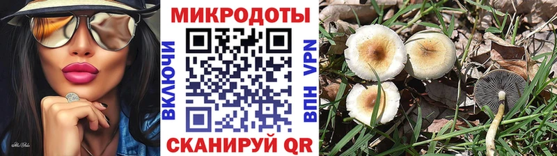 KRAKEN ТОР Александровское Псилоцибиновые грибы GOLDEN TEACHER